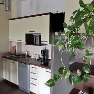 Silver Premium Apartament